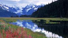 Snowcapped Reflection