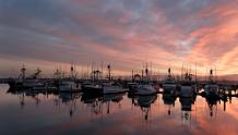 Fishing Fleet