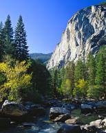 River Though Rocks and Trees