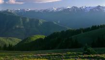 Rolling Foothills