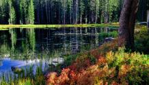Wetlands