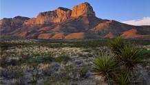 Desert Mountain Range