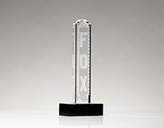 Fox Custom Award Fox Custom Award