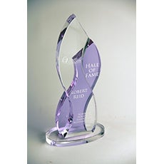 James Madison University Hall of Fame Award James Madison University Hall of Fame Award