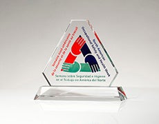 Occupational Therapy Custom Award Occupational Therapy Custom Award