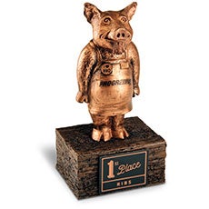 Progressive Insurance Barbecue Challenge Award Progressive Insurance Barbecue Challenge Award