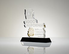 Team California Large Custom Award Team California Large Custom Award