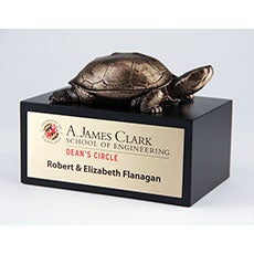 University of Maryland School of Engineering Award University of Maryland School of Engineering Award