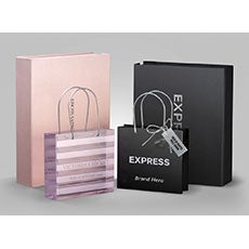 Victoria Secret & Express Sales Awards Victoria Secret & Express Sales Awards