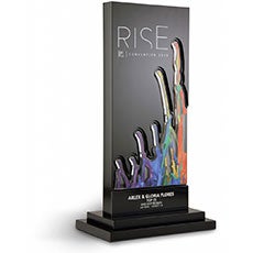 World Financial Group Rise Award World Financial Group Rise Award