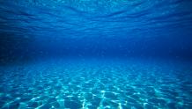 Bahamas Underwater