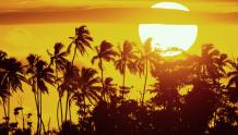 Tropical Sunset