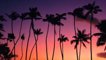 Purple Hue Sunset
