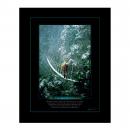 Unframed Poster Unframed Poster