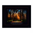 Unframed Poster Unframed Poster