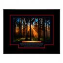.375 in. Black Aluminum Frame w/Mats .375 in. Black Aluminum Frame w/Mats