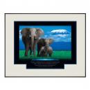 .375 in. Black Aluminum Frame w/Mats .375 in. Black Aluminum Frame w/Mats