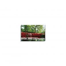 Gallery Canvas Gallery Canvas