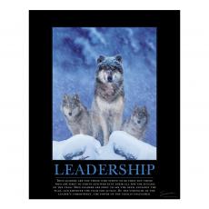 Unframed Poster Unframed Poster