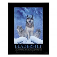 .375 in. Black Aluminum Frame with Plexi .375 in. Black Aluminum Frame with Plexi