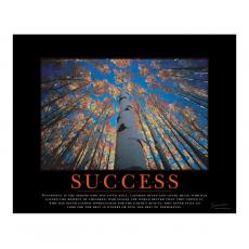 Unframed Poster Unframed Poster