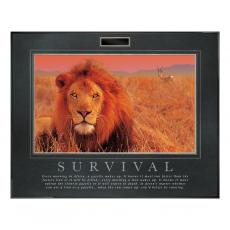 .25 in. Black Aluminum Frame