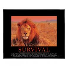 .375 in. Black Aluminum Frame with Plexi .375 in. Black Aluminum Frame with Plexi