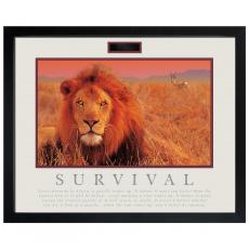 1.5 in. Black Satin Wood