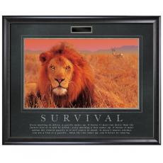 1.75 in. Satin Charcoal