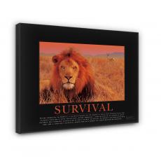 Gallery Canvas Gallery Canvas
