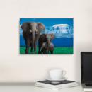 Gallery Canvas