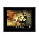 .25 in. Black Aluminum Frame .25 in. Black Aluminum Frame