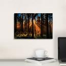 Gallery Canvas