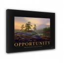 Gallery Canvas Gallery Canvas