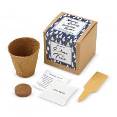 Working Growing Succeeding Pine Tree Kraft Planter - Welcome Gifts