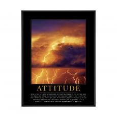 .25 in. Black Aluminum Frame .25 in. Black Aluminum Frame