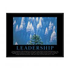 .25 in. Black Aluminum Frame .25 in. Black Aluminum Frame