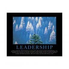 Unframed Poster Unframed Poster