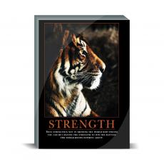 Acrylic Prism Acrylic Prism