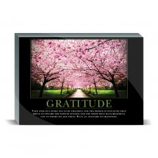 Acrylic Prism Acrylic Prism