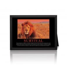 Black Metal Frame Black Metal Frame