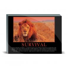 Acrylic Prism Acrylic Prism