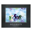 .25 in. Black Aluminum Frame