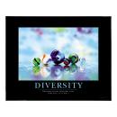 .375 in. Black Aluminum Frame with Plexi