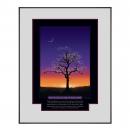 .375 in. Black Aluminum Frame w/Mats .375 in. Black Aluminum Frame w/Mats
