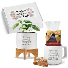 Care Packages for Employees & Remote Workers