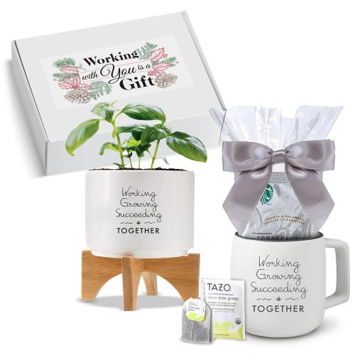 Corporate Gifts - Employee Gifts - Gift Sets - Care Packages - Holiday Gift Box - Modern Planter & Mug with Starbucks