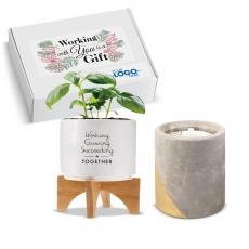 Holiday Gifts - Holiday Gift Box - Modern Candle & Planter
