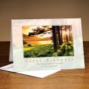 Happy Birthday Sunshine Greeting Cards (25 Pack)