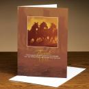Thank You Horses Greeting Cards (25 Pack)